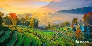 婺源最新爆料,最新爆料揭秘古村新颜 第1张 婺源最新爆料,最新爆料揭秘古村新颜 第1张